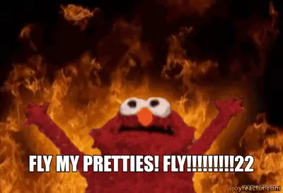 - FLY MY PRETTIES! FLY!!!!!!!!!22 meme