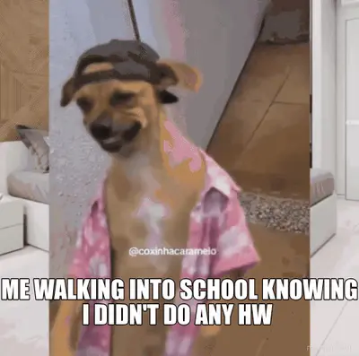 ME WALKING INTO SCHOOL KNOWING I DIDN'T DO ANY HW meme