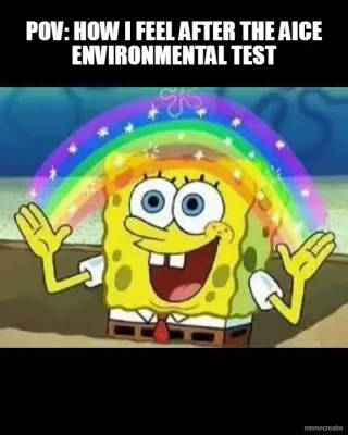 POV: HOW I FEEL AFTER THE AICE ENVIRONMENTAL TEST meme