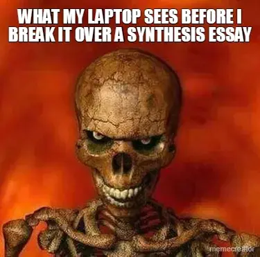 WHAT MY LAPTOP SEES BEFORE I BREAK IT OVER A SYNTHESIS ESSAY meme