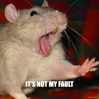 IT'S NOT MY FAULT meme