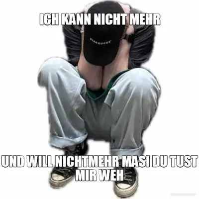 ICH KANN NICHT MEHR - UND WILL NICHTMEHR MASI DU TUST MIR WEH meme