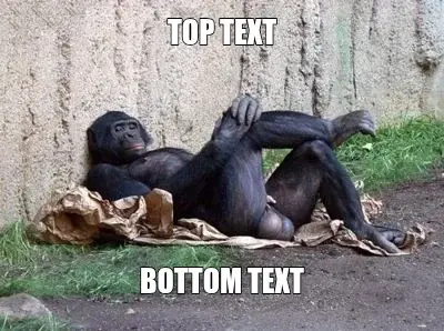 monkey balls meme meme