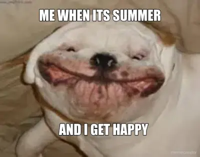 ME WHEN ITS SUMMER - AND I GET HAPPY meme