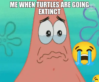 ME WHEN TURTLES ARE GOING EXTINCT meme