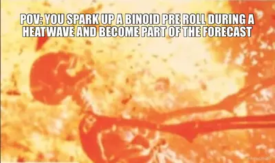 POV: YOU SPARK UP A BINOID PRE ROLL DURING A HEATWAVE AND BECOME PART OF THE FORECAST