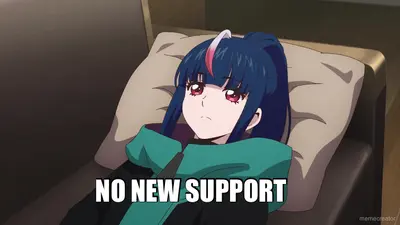 NO NEW SUPPORT meme