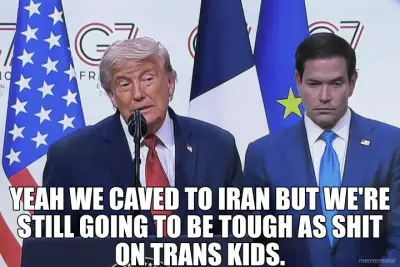 Dumb and dumber meme