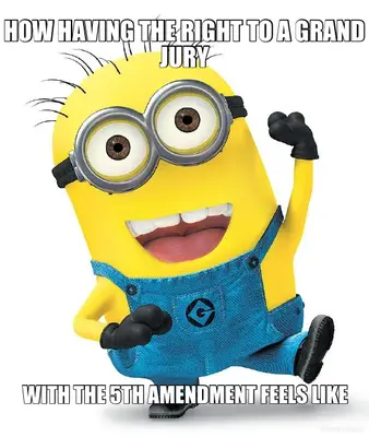 HOW HAVING THE RIGHT TO A GRAND JURY - WITH THE 5TH AMENDMENT FEELS LIKE meme