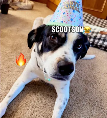 SCOOTSON😂 meme