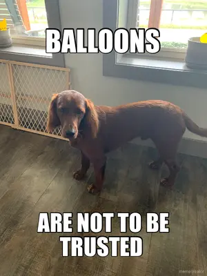 BALLOONS  - ARE NOT TO BE TRUSTED meme