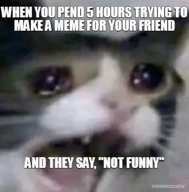 WHEN YOU PEND 5 HOURS TRYING TO MAKE A MEME FOR YOUR FRIEND - AND THEY SAY, "NOT FUNNY" meme