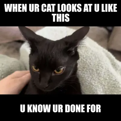 ur doomed meme