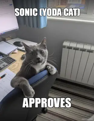 Sonic approves meme