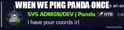 WHEN WE PING PANDA ONCE meme