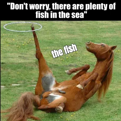 "Don't worry, there are plenty of fish in the sea" - the fish meme