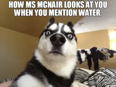 HOW MS MCNAIR LOOKS AT YOU WHEN YOU MENTION WATER. meme