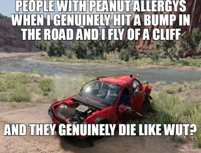 PEOPLE WITH PEANUT ALLERGYS WHEN I GENUINELY HIT A BUMP IN THE ROAD AND I FLY OF A CLIFF - AND THEY meme