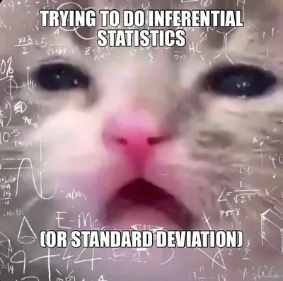 TRYING TO DO INFERENTIAL STATISTICS - (OR STANDARD DEVIATION) meme