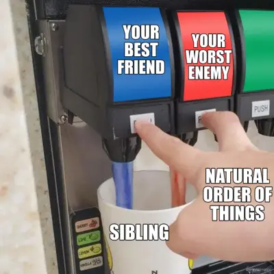 YOUR BEST FRIEND - YOUR WORST ENEMY - SIBLING - NATURAL ORDER OF THINGS meme