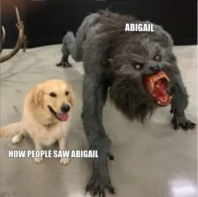 ABIGAIL - HOW PEOPLE SAW ABIGAIL meme
