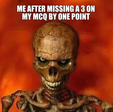 ME AFTER MISSING A 3 ON MY MCQ BY ONE POINT meme