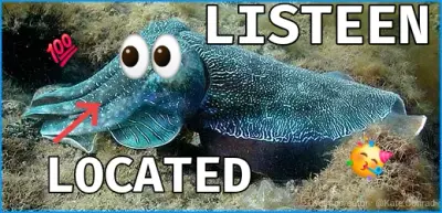 Listeen meme