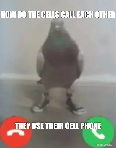HOW DO THE CELLS CALL EACH OTHER - THEY USE THEIR CELL PHONE meme