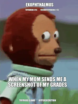 EXOPHTHALMOS    — WHEN MY MOM SENDS ME A SCREENSHOT OF MY GRADES — THYROID GLAND        HYPERSECRETI meme
