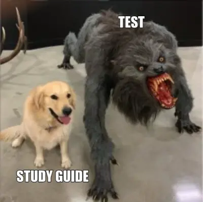 TEST - STUDY GUIDE meme