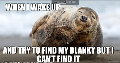 WHEN I WAKE UP  - AND TRY TO FIND MY BLANKY BUT I CAN’T FIND IT meme