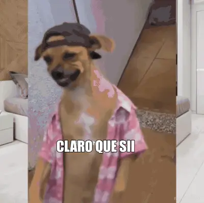 CLARO QUE SII meme