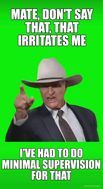 MATE, DON'T SAY THAT, THAT IRRITATES ME - I'VE HAD TO DO MINIMAL SUPERVISION FOR THAT meme
