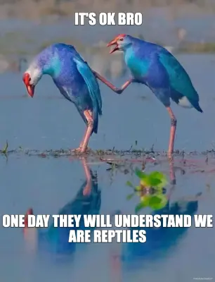 IT'S OK BRO - ONE DAY THEY WILL UNDERSTAND WE ARE REPTILES meme
