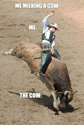 ME MILKING A COW - ME: - THE COW: meme