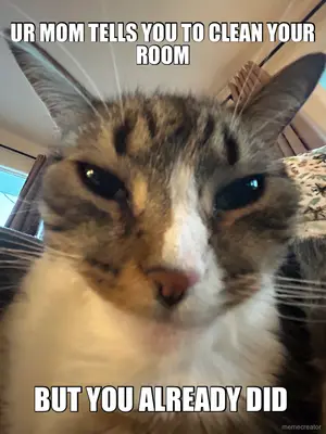 UR MOM TELLS YOU TO CLEAN YOUR ROOM - BUT YOU ALREADY DID