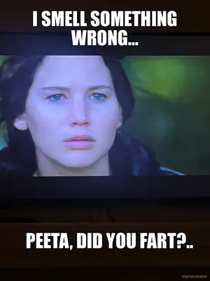 I SMELL SOMETHING WRONG… - PEETA, DID YOU FART?.. meme