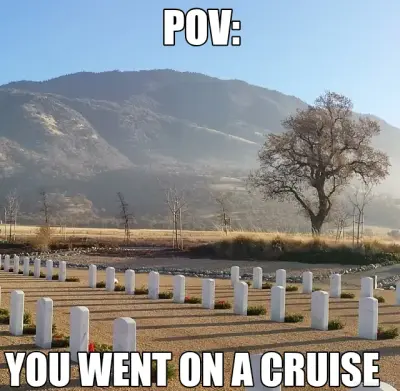 POV: - YOU WENT ON A CRUISE meme