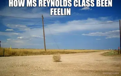 HOW MS REYNOLDS CLASS BEEN FEELIN meme