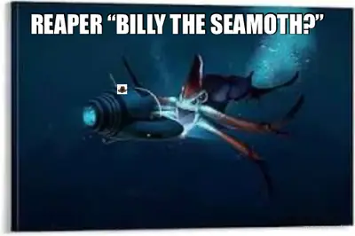 REAPER “BILLY THE SEAMOTH?” meme