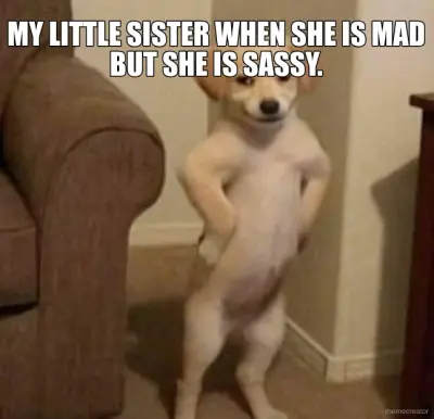 MY LITTLE SISTER WHEN SHE IS MAD BUT SHE IS SASSY. meme