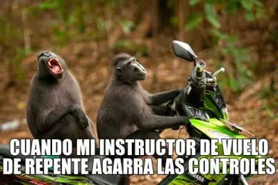 CUANDO MI INSTRUCTOR DE VUELO DE REPENTE AGARRA LAS CONTROLES meme