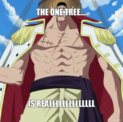 The One Piece meme meme