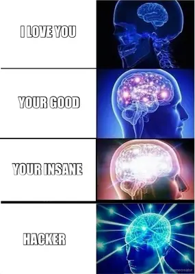 I LOVE YOU - YOUR GOOD - YOUR INSANE - HACKER meme
