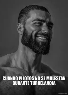 CUANDO PILOTOS NO SE MOLESTAN DURANTE TURBELANCIA meme