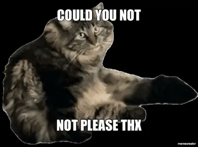 COULD YOU NOT - NOT PLEASE THX meme