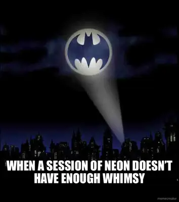 WHEN A SESSION OF NEON DOESN’T HAVE ENOUGH WHIMSY meme