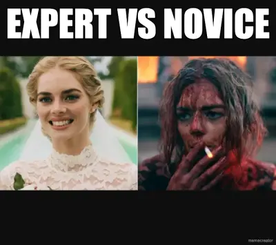 EXPERT VS NOVICE meme