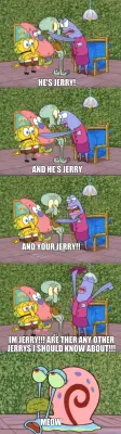 HE'S JERRY! - MEOW - AND YOUR JERRY!! - AND HE'S JERRY - IM JERRY!!! ARE THER ANY OTHER JERRYS I SHO meme