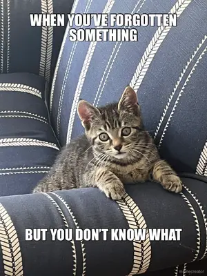 WHEN YOU’VE FORGOTTEN SOMETHING - BUT YOU DON’T KNOW WHAT meme
